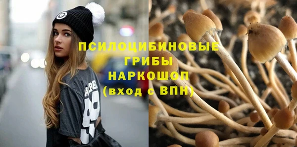 амф Мегион