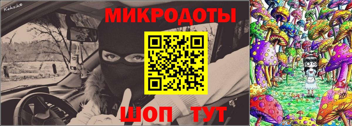 Галлюциногенные грибы Psilocybe Кувандык