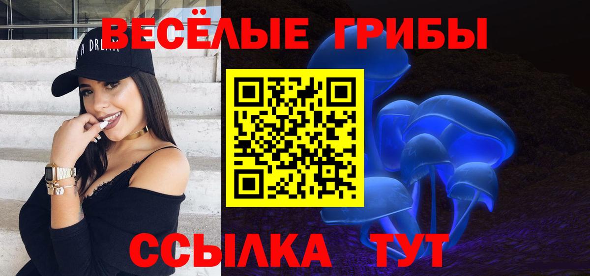 Галлюциногенные грибы MAGIC MUSHROOMS  Галлюциногенные грибы Psilocybine cubensis  Кувандык 